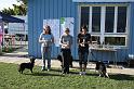Bild 597